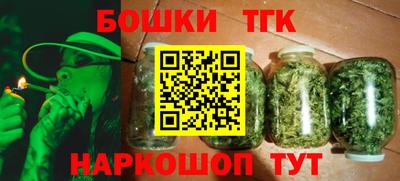 индика Дубна
