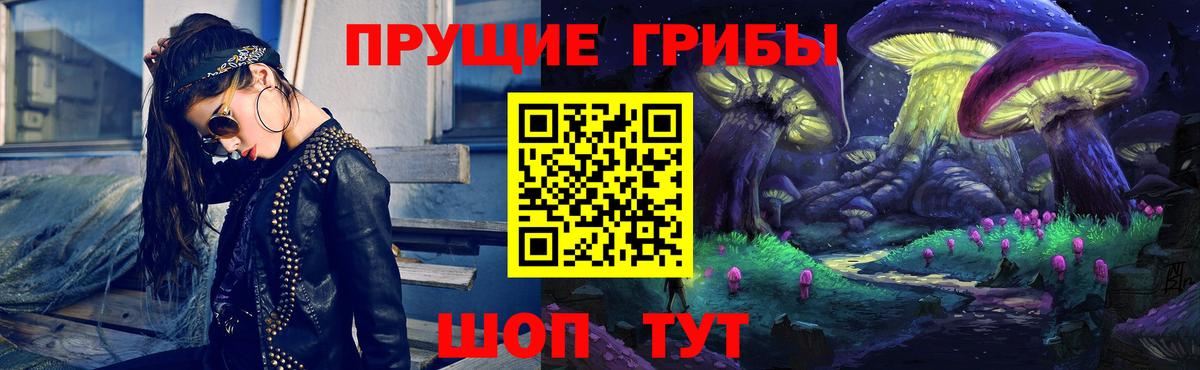 Галлюциногенные грибы Psilocybe Долгопрудный